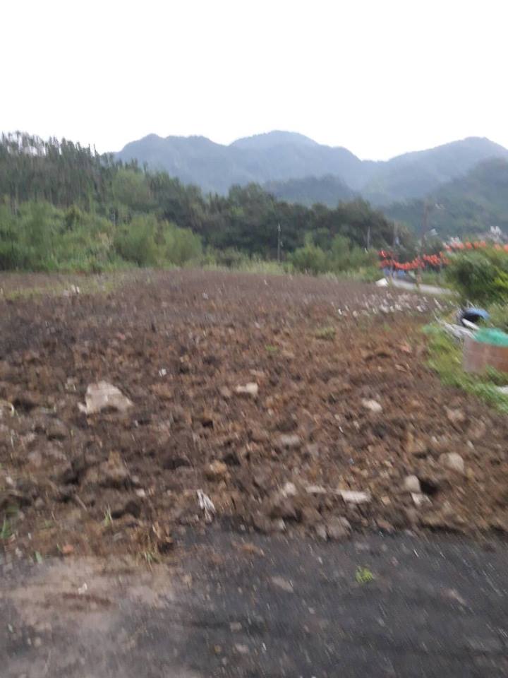 老人家拍照就是只能这样