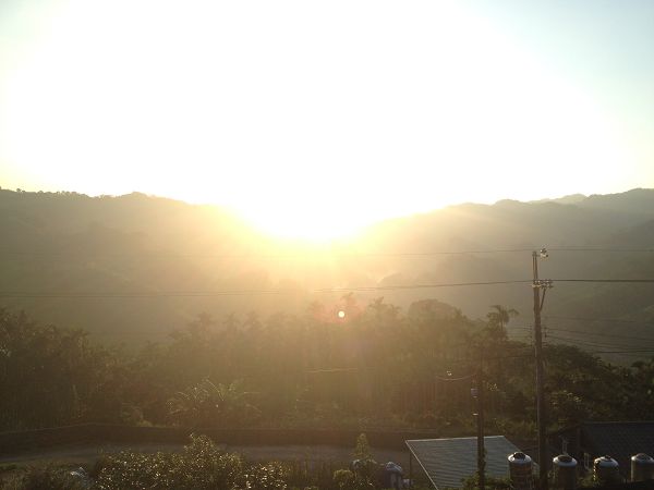 阳光5