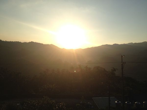 阳光8