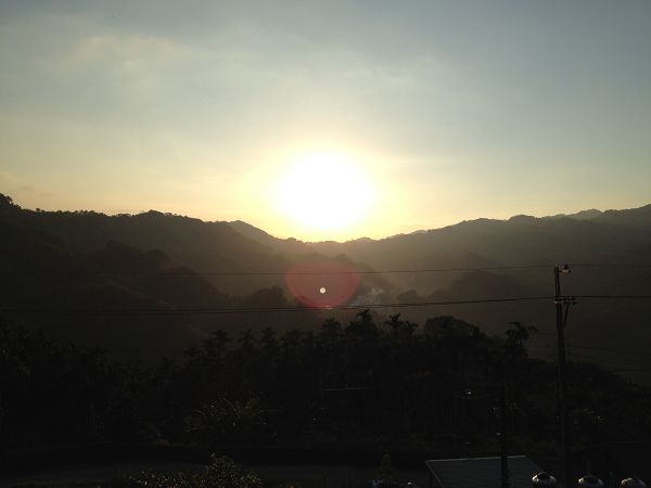 阳光11