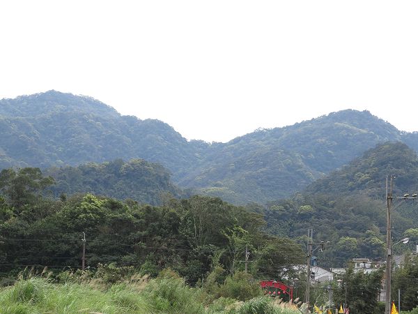 集中烟供02