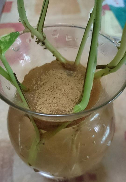 风水,花艺3
