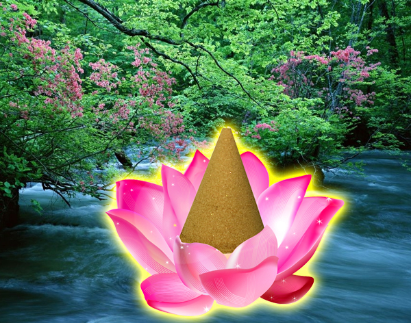 ̹