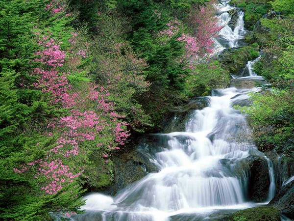 水供法