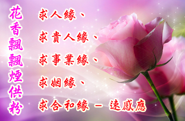 花香飘飘烟供粉