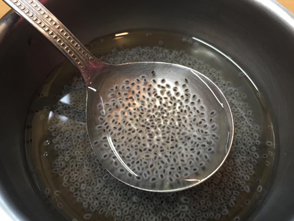 小紫蘇