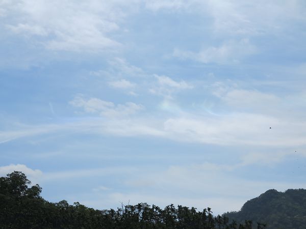 煙供法彩虹光3